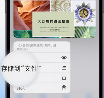 平乡apple维修中心分享iPhone文件应用中存储和找到下载文件