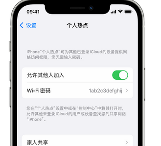 平乡apple服务站点分享iPhone上个人热点丢失了怎么办 