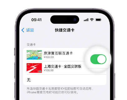 平乡apple维修点分享iPhone上更换Apple Pay快捷交通卡手绘卡面 