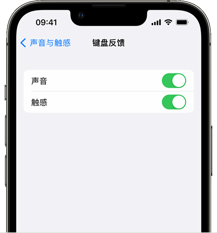 平乡苹果14维修店分享如何在 iPhone 14 机型中使用触感键盘 