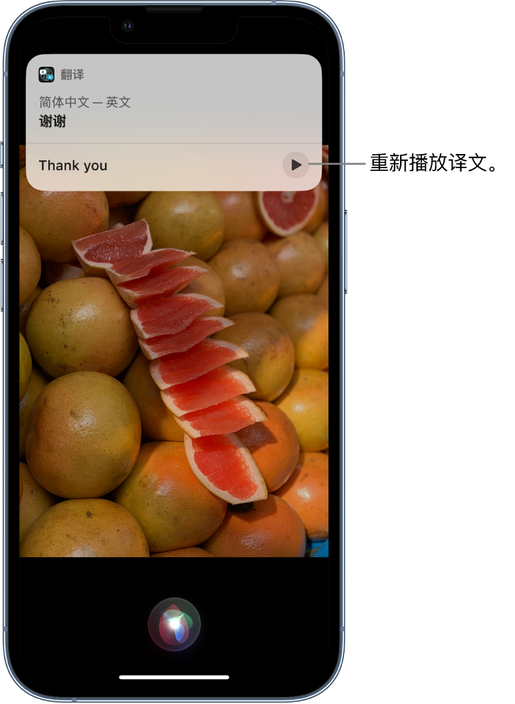 平乡苹果14维修分享 iPhone 14 机型中使用 Siri：了解 Siri 能帮你做什么 