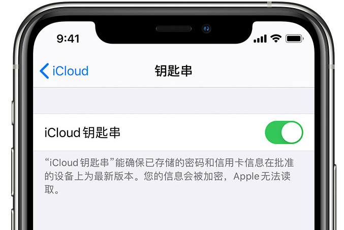 平乡苹果手机维修分享在 iPhone 上开启 iCloud 钥匙串之后会储存哪些信息 