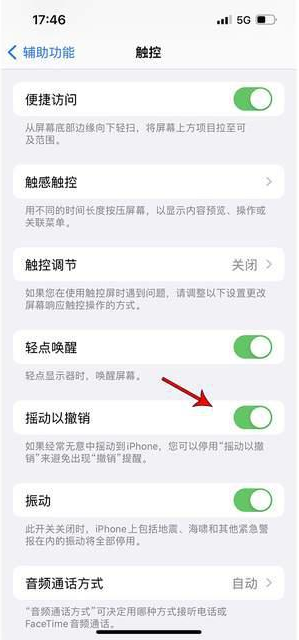 平乡苹果手机维修分享iPhone手机如何设置摇一摇删除文字 