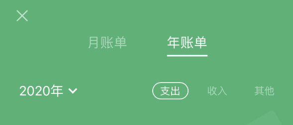 平乡苹果手机维修分享如何在 iPhone 上查看支付宝和微信年支出账单 