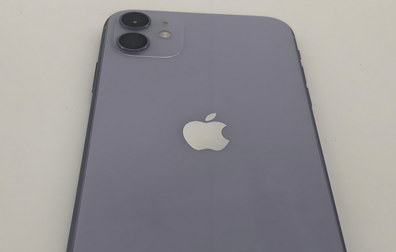 平乡苹果11系统维修分享iPhone11手机系统崩溃无法开机如何解决 